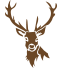 icon_jelen