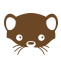 icon_lasicka